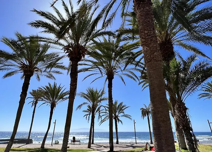 Patio Canario * Escape / 2 Rooms, 2 Terraces & Pool Lägenhet